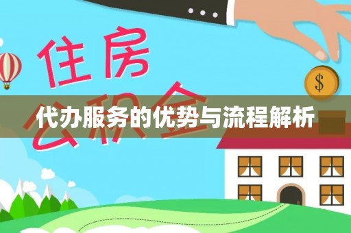 云龙代办服务的优势与流程解析