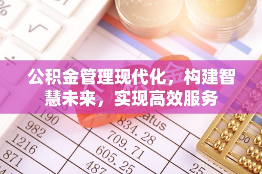 云龙公积金管理现代化，构建智慧未来，实现高效服务