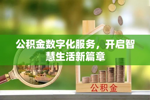 云龙公积金数字化服务，开启智慧生活新篇章