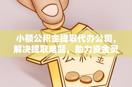 云龙小额公积金提取代办公司，解决提取难题，助力资金灵活使用