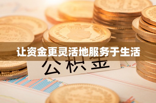 云龙让资金更灵活地服务于生活