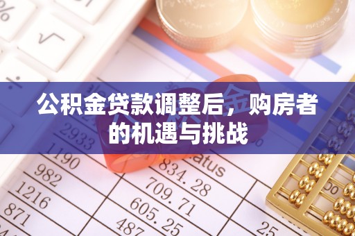 云龙公积金贷款调整后，购房者的机遇与挑战