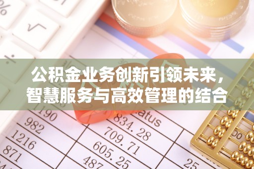 云龙公积金业务创新引领未来，智慧服务与高效管理的结合