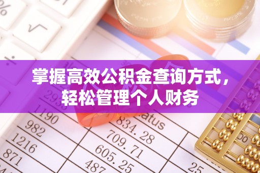 云龙掌握高效公积金查询方式，轻松管理个人财务