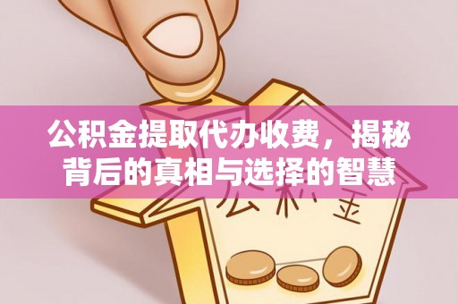 云龙公积金提取代办收费，揭秘背后的真相与选择的智慧