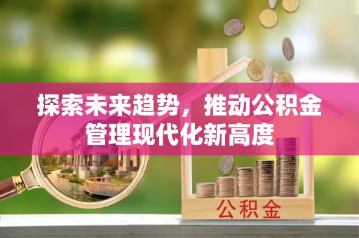 云龙探索未来趋势，推动公积金管理现代化新高度