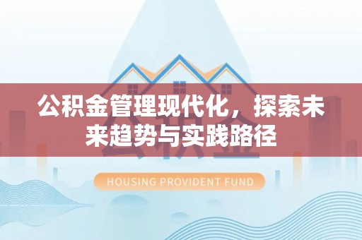 云龙公积金管理现代化，探索未来趋势与实践路径