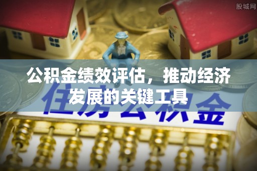 云龙公积金绩效评估，推动经济发展的关键工具