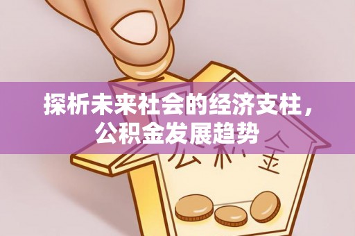 云龙探析未来社会的经济支柱，公积金发展趋势