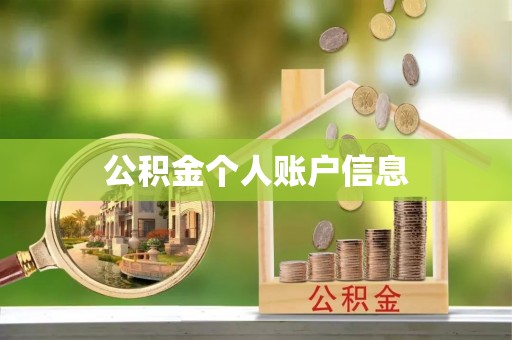云龙公积金个人账户信息