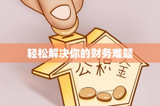 云龙轻松解决你的财务难题