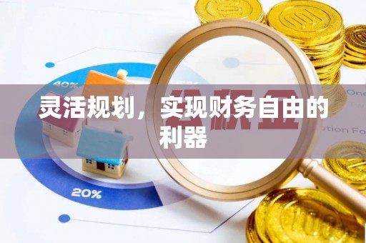 云龙灵活规划，实现财务自由的利器