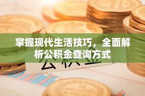 云龙掌握现代生活技巧，全面解析公积金查询方式