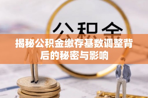 云龙揭秘公积金缴存基数调整背后的秘密与影响