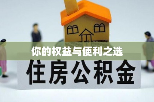 云龙你的权益与便利之选