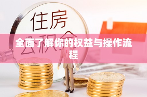 云龙全面了解你的权益与操作流程