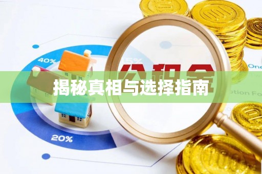 云龙揭秘真相与选择指南
