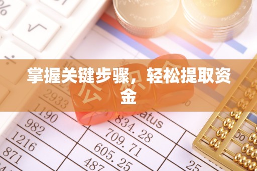云龙掌握关键步骤，轻松提取资金