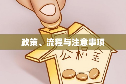 云龙政策、流程与注意事项
