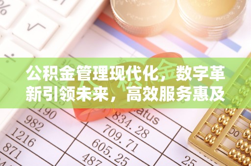 云龙公积金管理现代化，数字革新引领未来，高效服务惠及民生