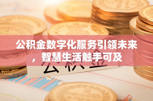 云龙公积金数字化服务引领未来，智慧生活触手可及