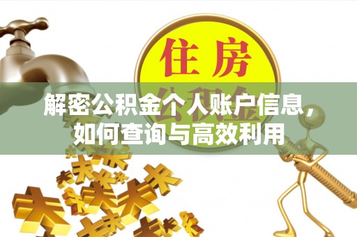 云龙解密公积金个人账户信息，如何查询与高效利用