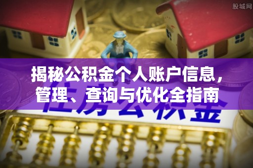 云龙揭秘公积金个人账户信息，管理、查询与优化全指南