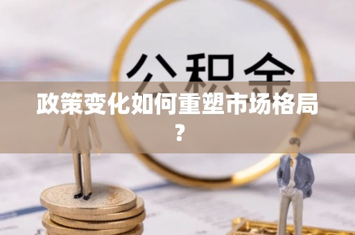 云龙政策变化如何重塑市场格局？