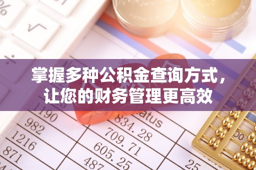 云龙掌握多种公积金查询方式，让您的财务管理更高效