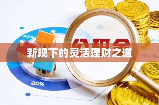 云龙新规下的灵活理财之道