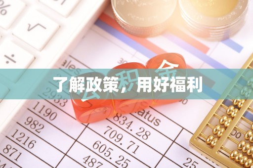 云龙了解政策，用好福利