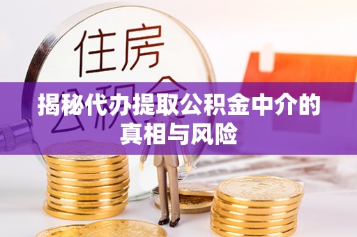 云龙揭秘代办提取公积金中介的真相与风险
