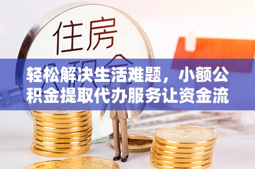 云龙轻松解决生活难题，小额公积金提取代办服务让资金流动更便捷