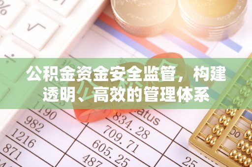 云龙公积金资金安全监管，构建透明、高效的管理体系