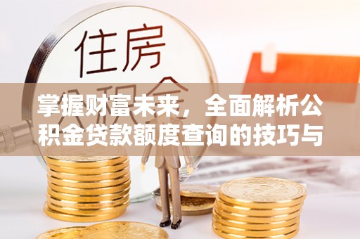 云龙掌握财富未来，全面解析公积金贷款额度查询的技巧与策略