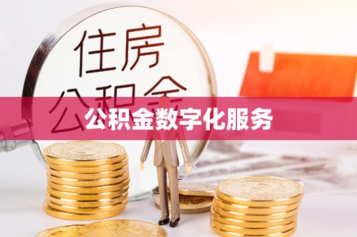 云龙公积金数字化服务