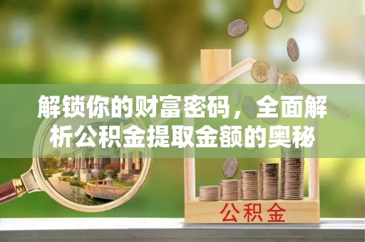 云龙解锁你的财富密码，全面解析公积金提取金额的奥秘