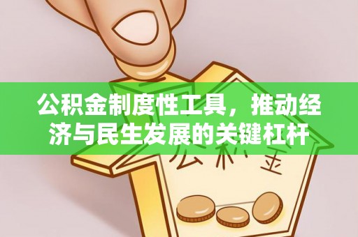 云龙公积金制度性工具，推动经济与民生发展的关键杠杆