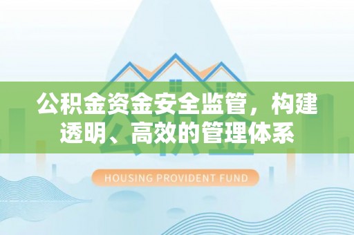云龙公积金资金安全监管，构建透明、高效的管理体系