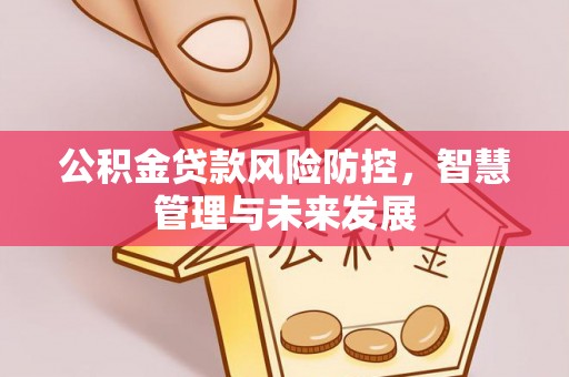 云龙公积金贷款风险防控，智慧管理与未来发展