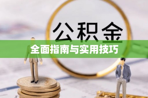 云龙全面指南与实用技巧