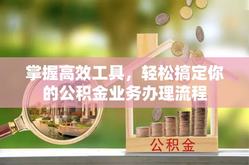 云龙掌握高效工具，轻松搞定你的公积金业务办理流程