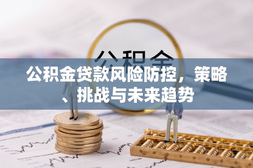 云龙公积金贷款风险防控，策略、挑战与未来趋势