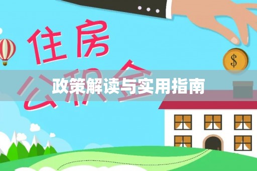 云龙政策解读与实用指南