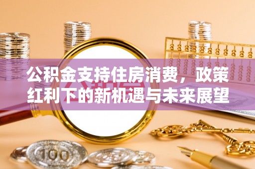 云龙公积金支持住房消费，政策红利下的新机遇与未来展望