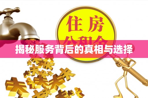 云龙揭秘服务背后的真相与选择
