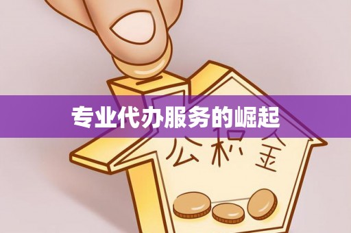 云龙专业代办服务的崛起