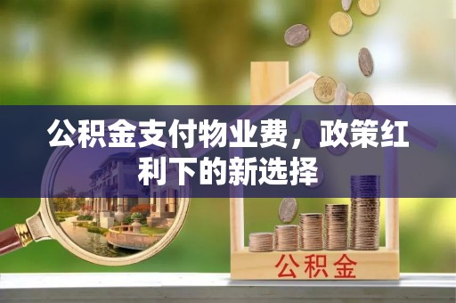 云龙公积金支付物业费，政策红利下的新选择