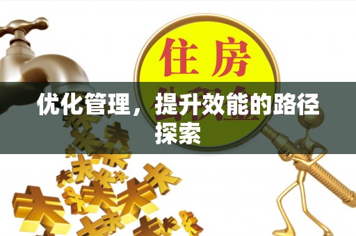 云龙优化管理，提升效能的路径探索