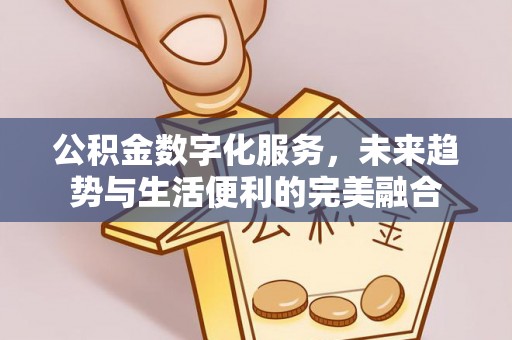 云龙公积金数字化服务，未来趋势与生活便利的完美融合